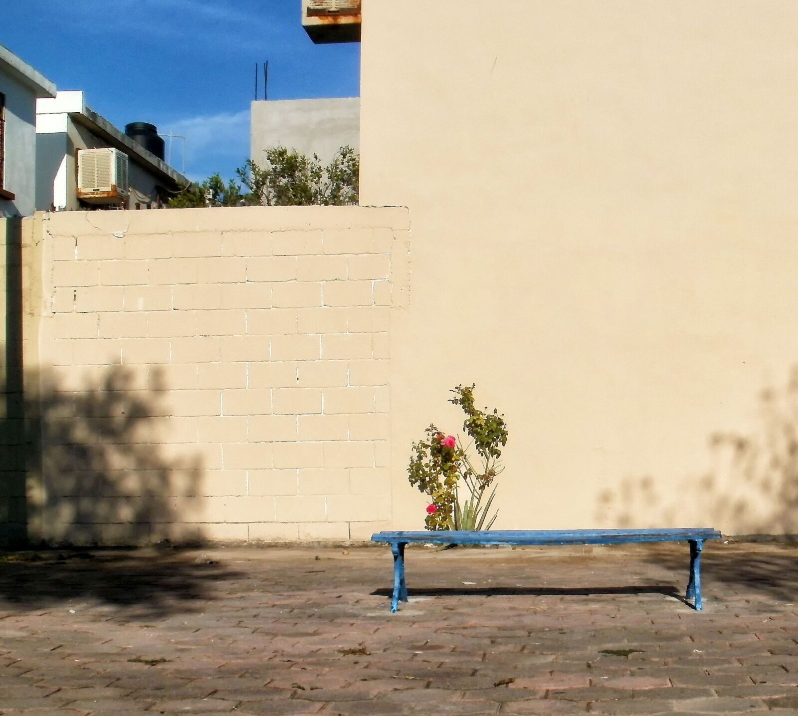Olympus FE47,X43 sample photo. Bench, wall photography