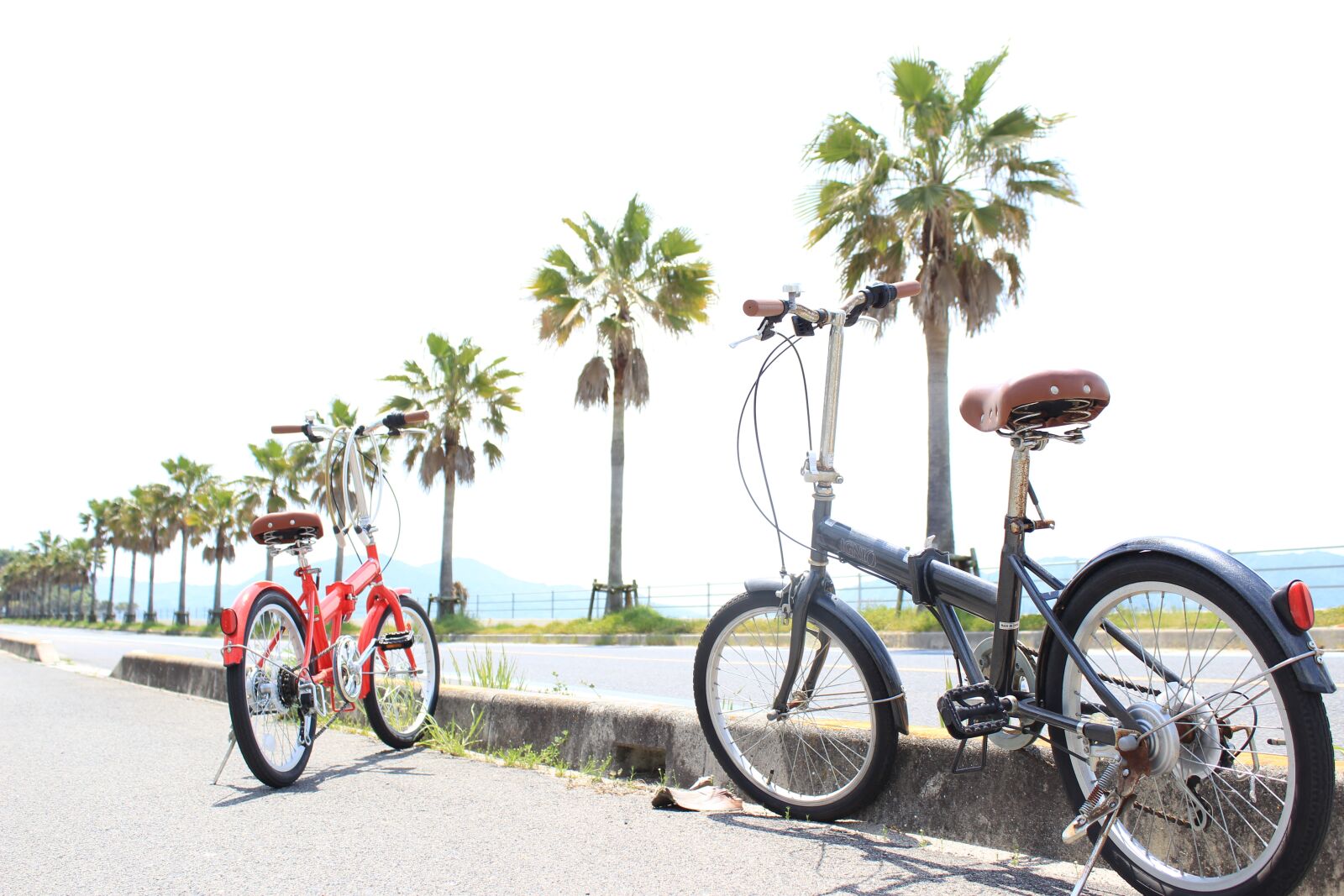 Canon EOS 600D (Rebel EOS T3i / EOS Kiss X5) sample photo. Road, palm trees, natural photography