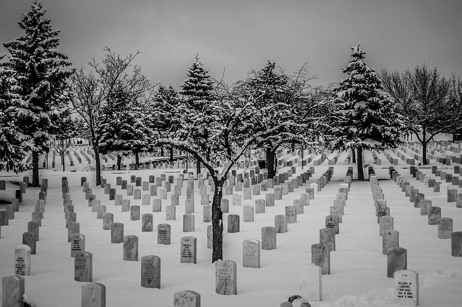 Nikon D40 sample photo. Snow, cemetery, national gravesite photography
