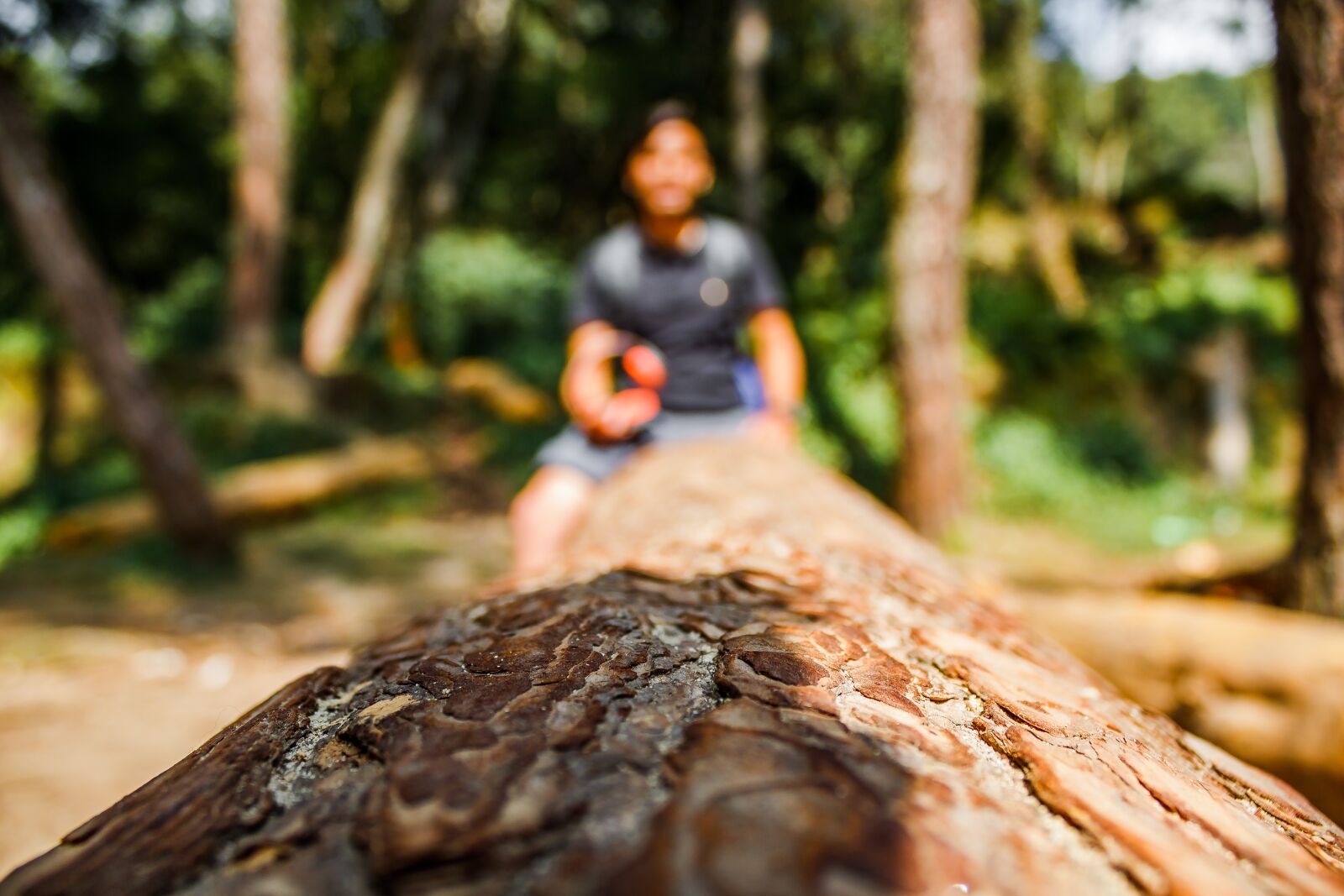Canon EOS 600D (Rebel EOS T3i / EOS Kiss X5) sample photo. Tree trunk, closeup, trunk photography