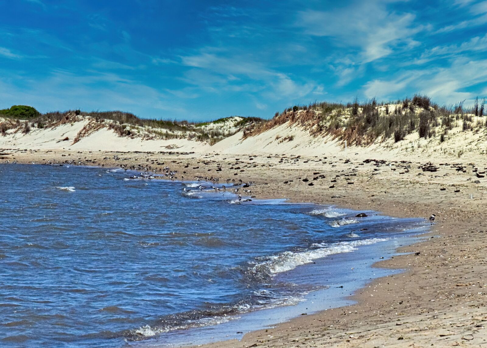 Nikon D3300 sample photo. Beach, dunes, sand photography