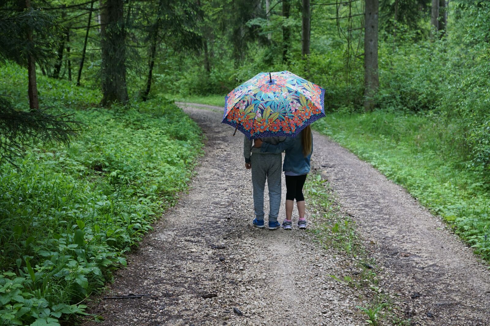 Sony DT 16-50mm F2.8 SSM sample photo. Children, rain, walk photography