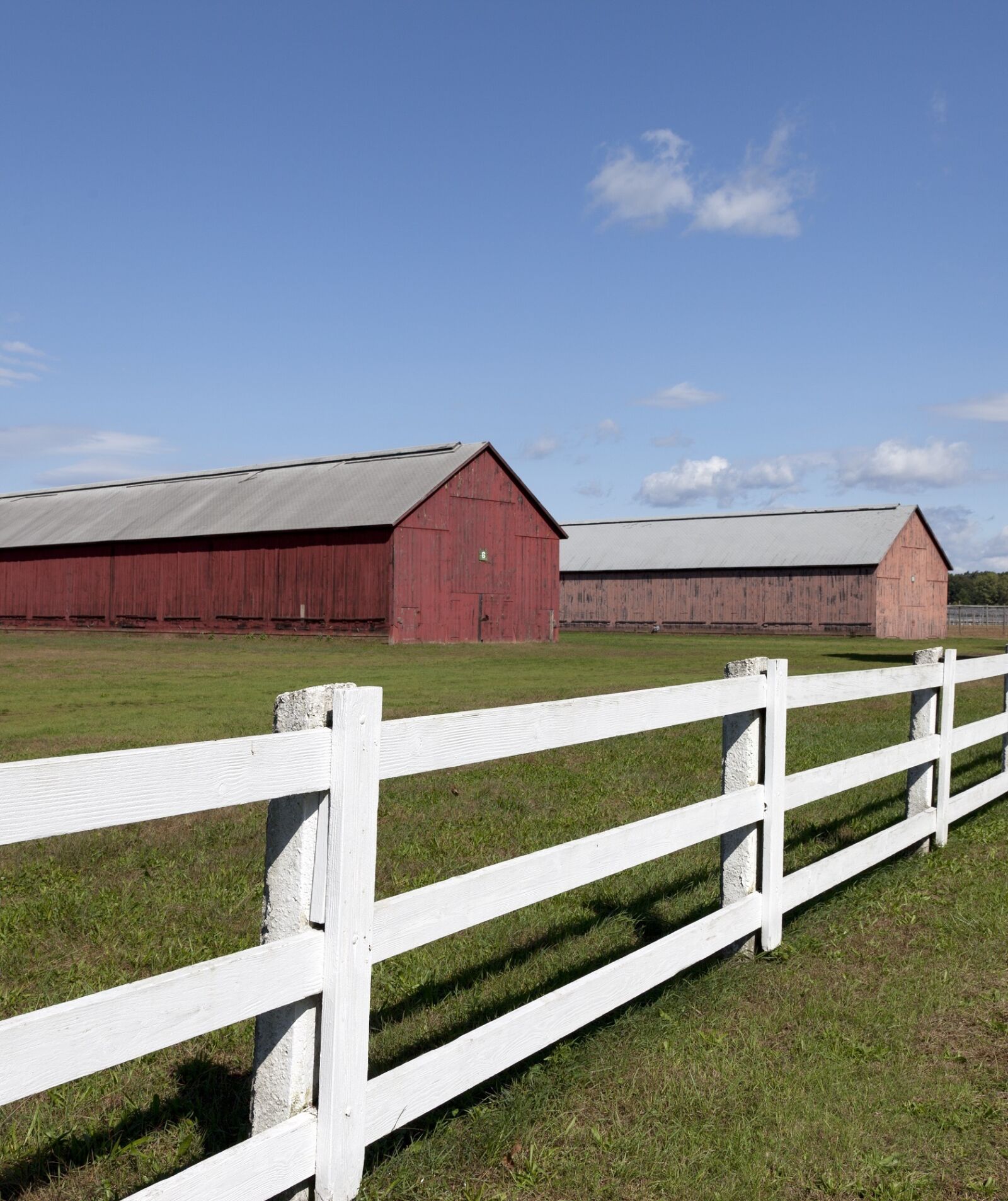Canon EOS 5D Mark II sample photo. Barns, tobacco, fence photography