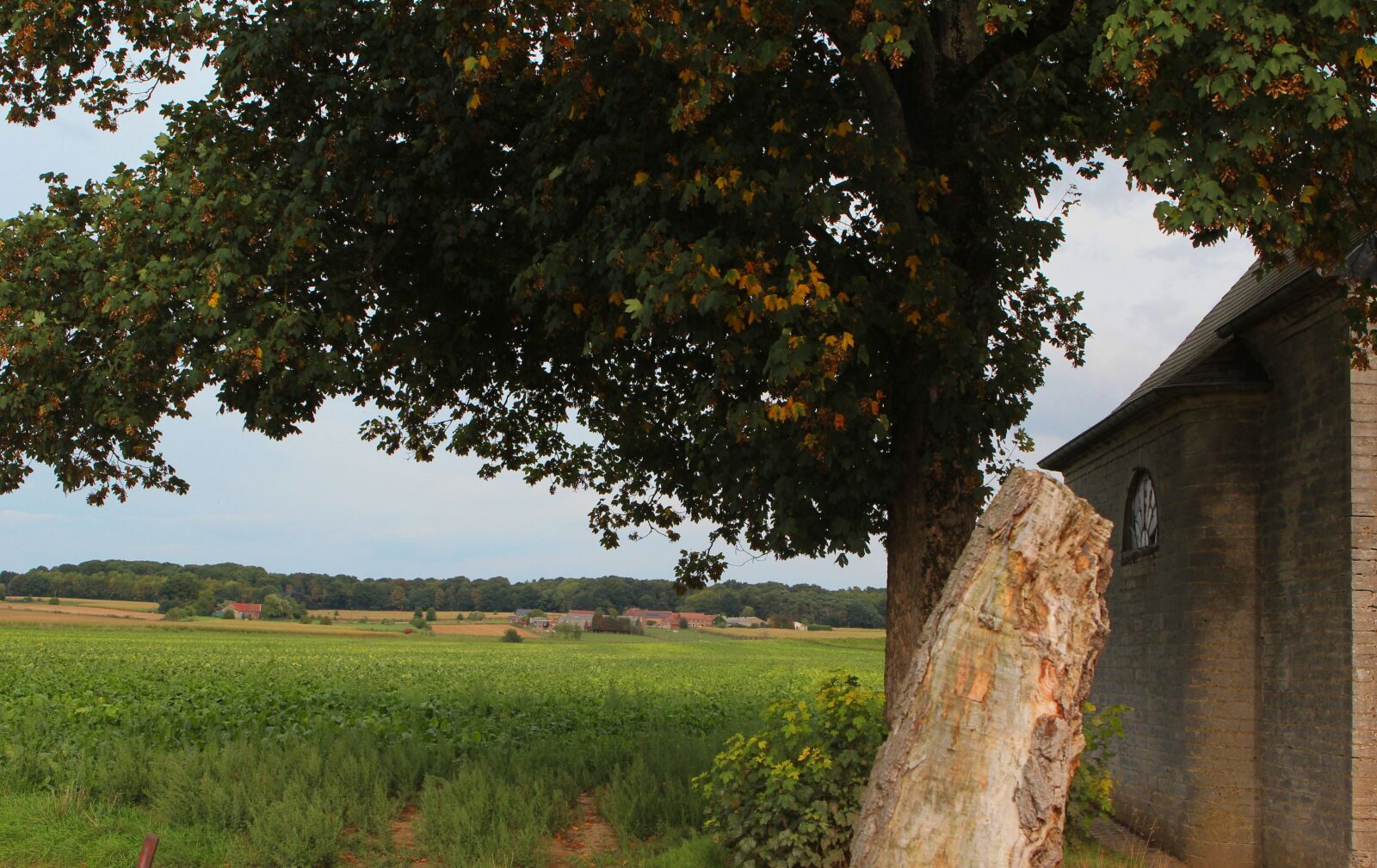 Canon EOS 60D + Canon EF 24-70mm F2.8L USM sample photo. Countryside, chapel, tree photography