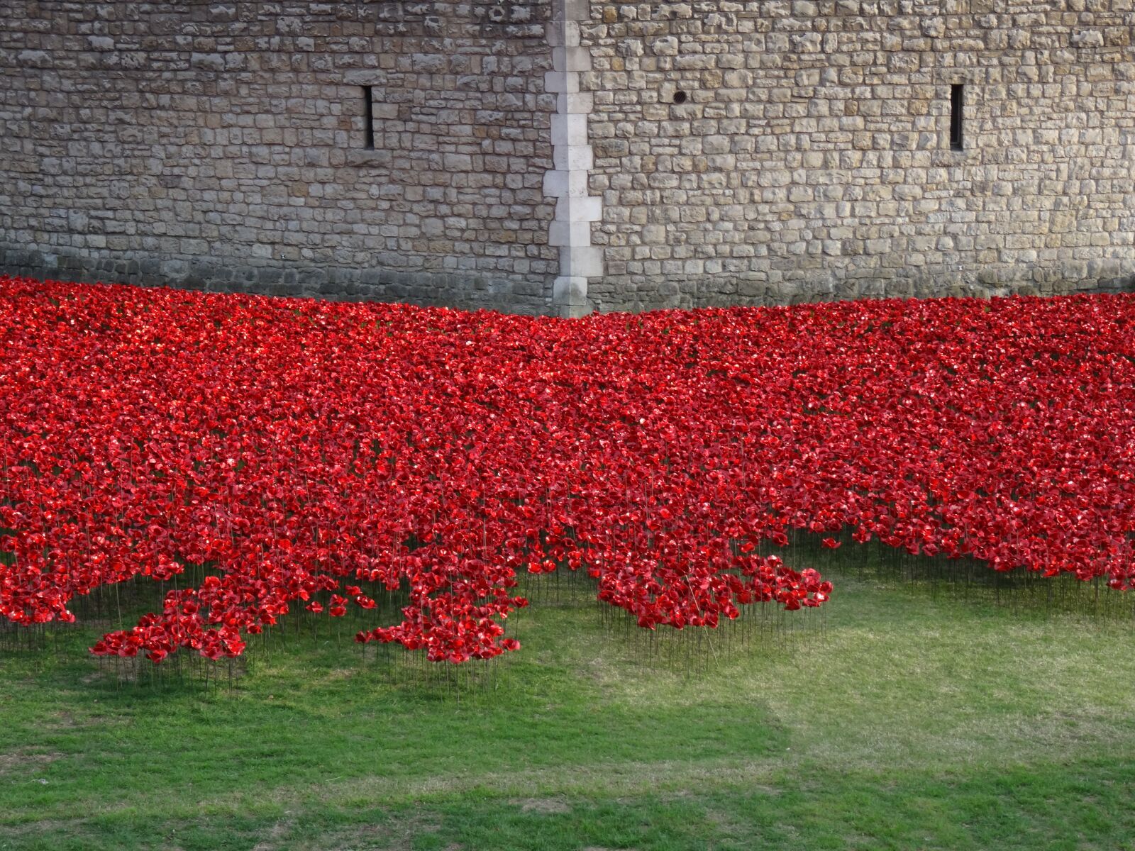 Sony Cyber-shot DSC-HX50V sample photo. Flowers, england, tower photography