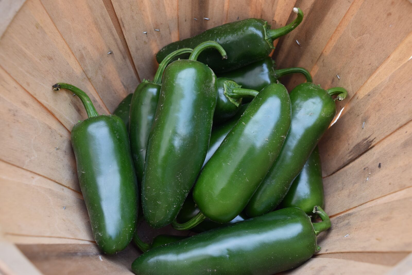 Nikon D3300 sample photo. Jalapeno, pepper, food photography