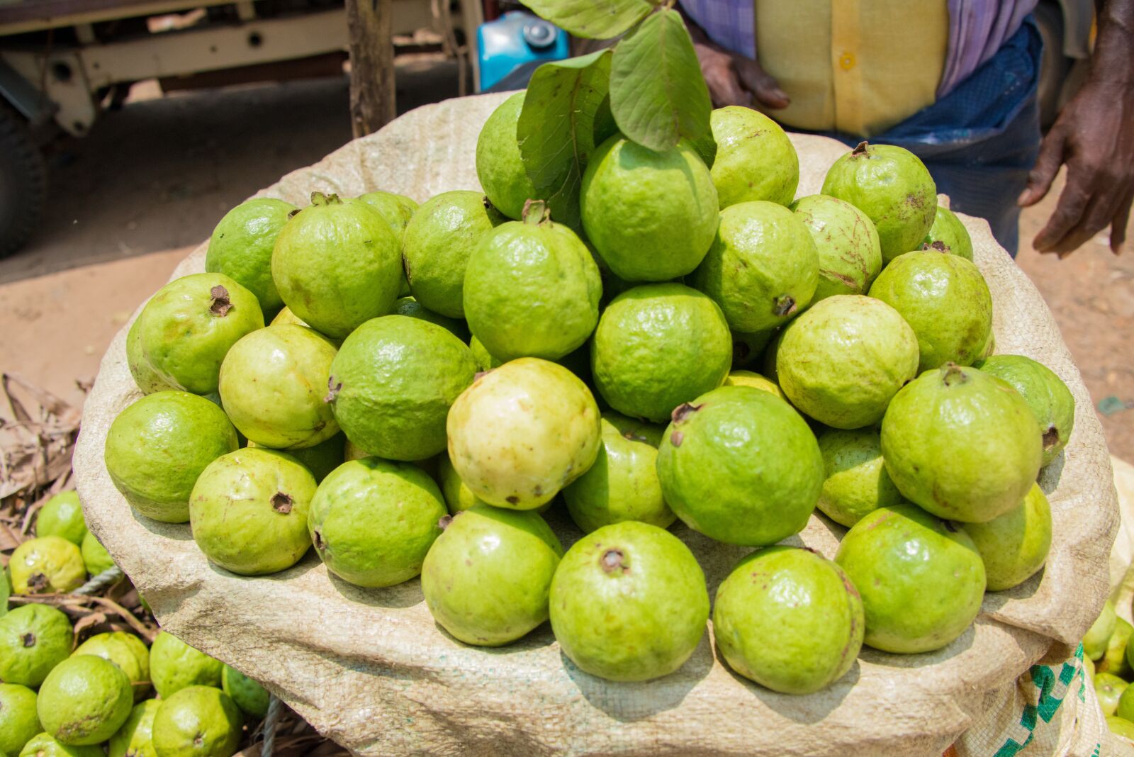 Nikon D800 sample photo. Guava, fruits, india photography