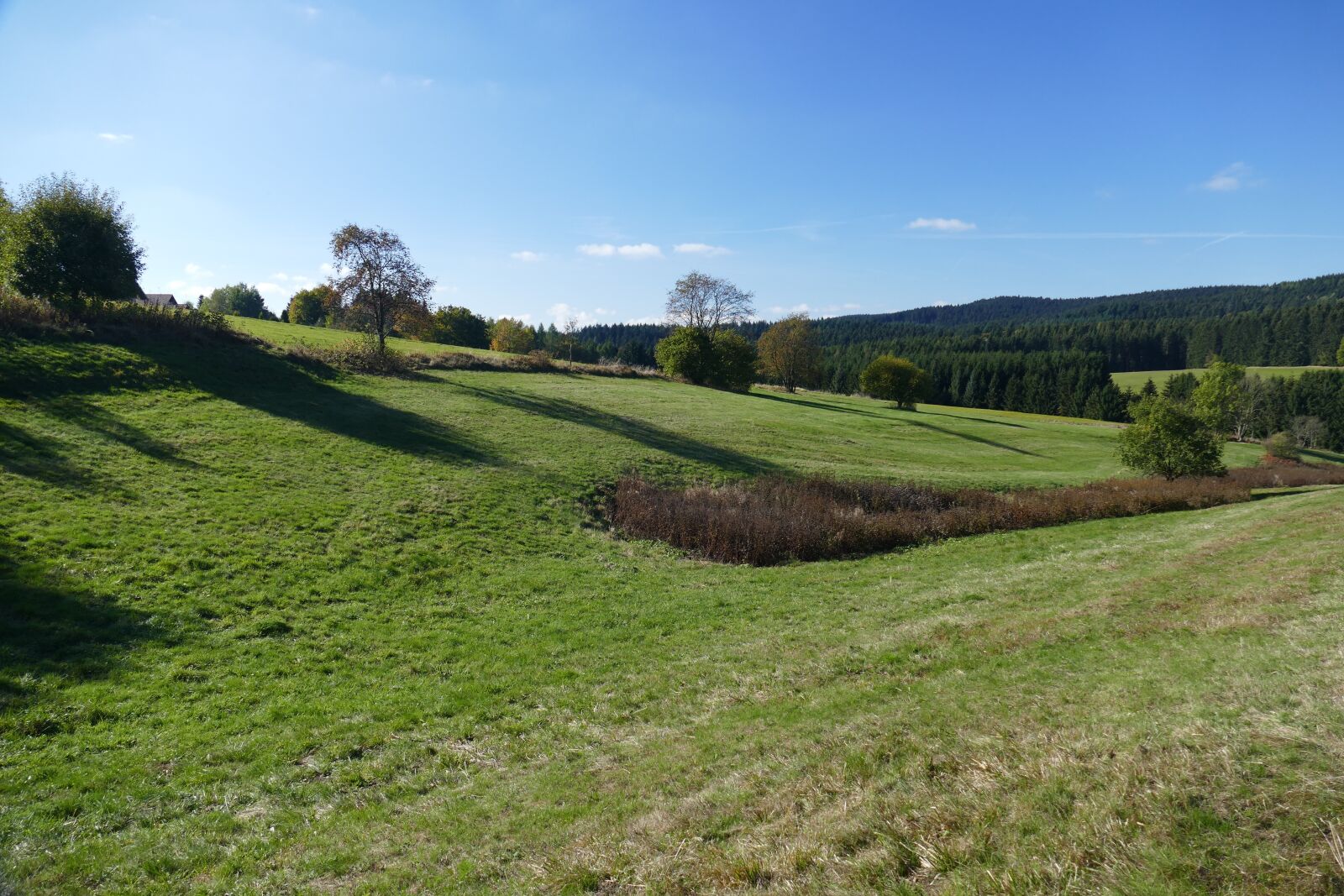 Panasonic Lumix DMC-FZ1000 sample photo. Valley, pasture, landscape photography
