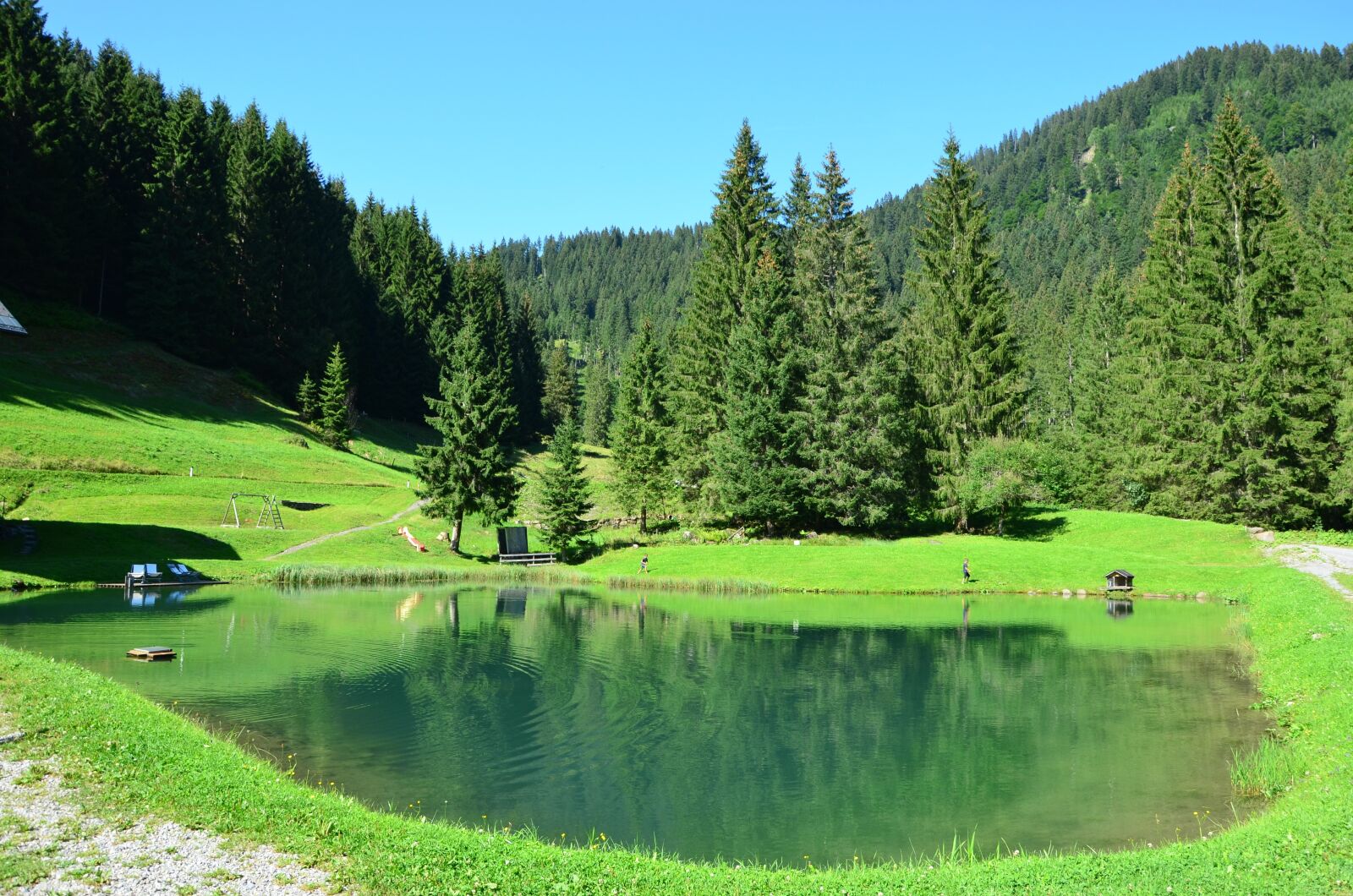 Nikon D5100 sample photo. Bergsee, forest, water photography