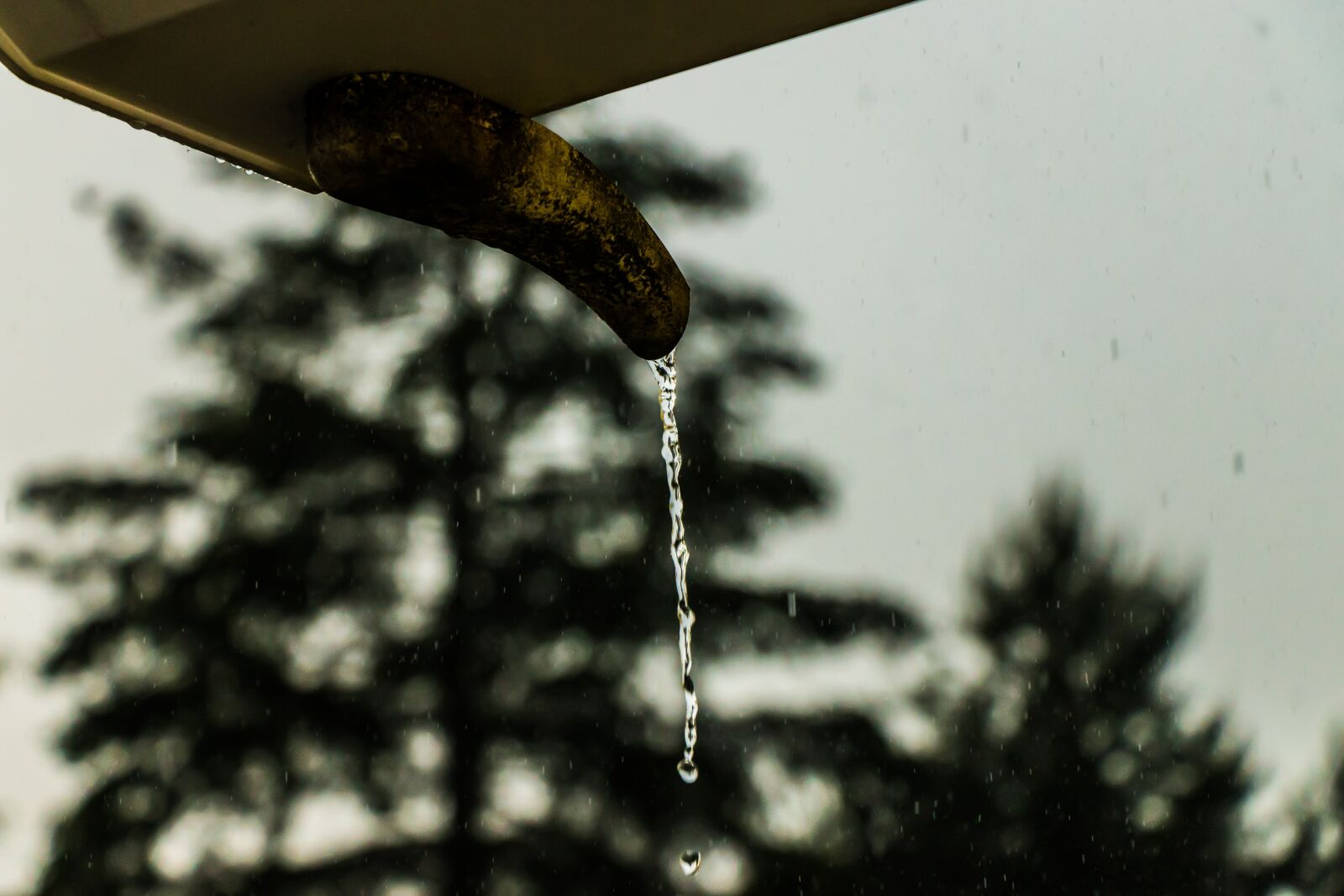 Canon EOS 70D sample photo. Water, rain, drip photography