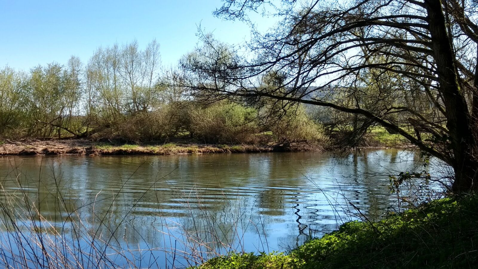 Motorola Moto G (4) sample photo. River, tree, nature photography