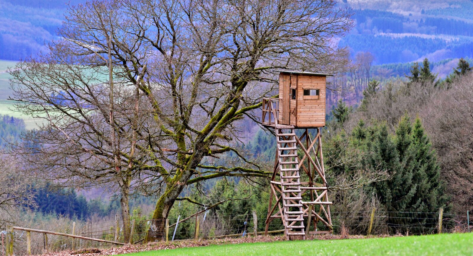 Nikon D600 sample photo. Observation post, wildhut, bird photography