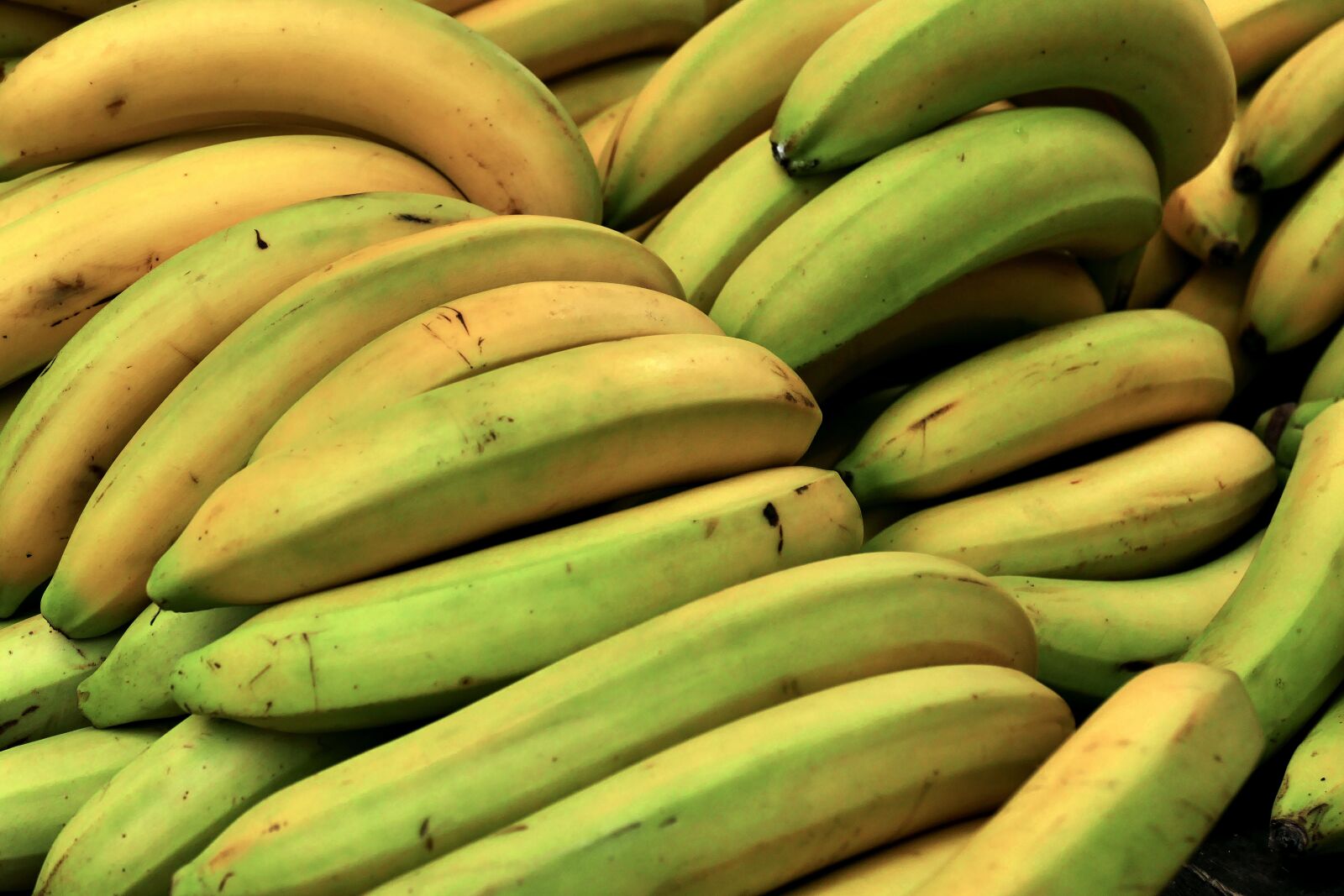 Panasonic Lumix DMC-FZ1000 sample photo. Banana, bananas, bazaar photography