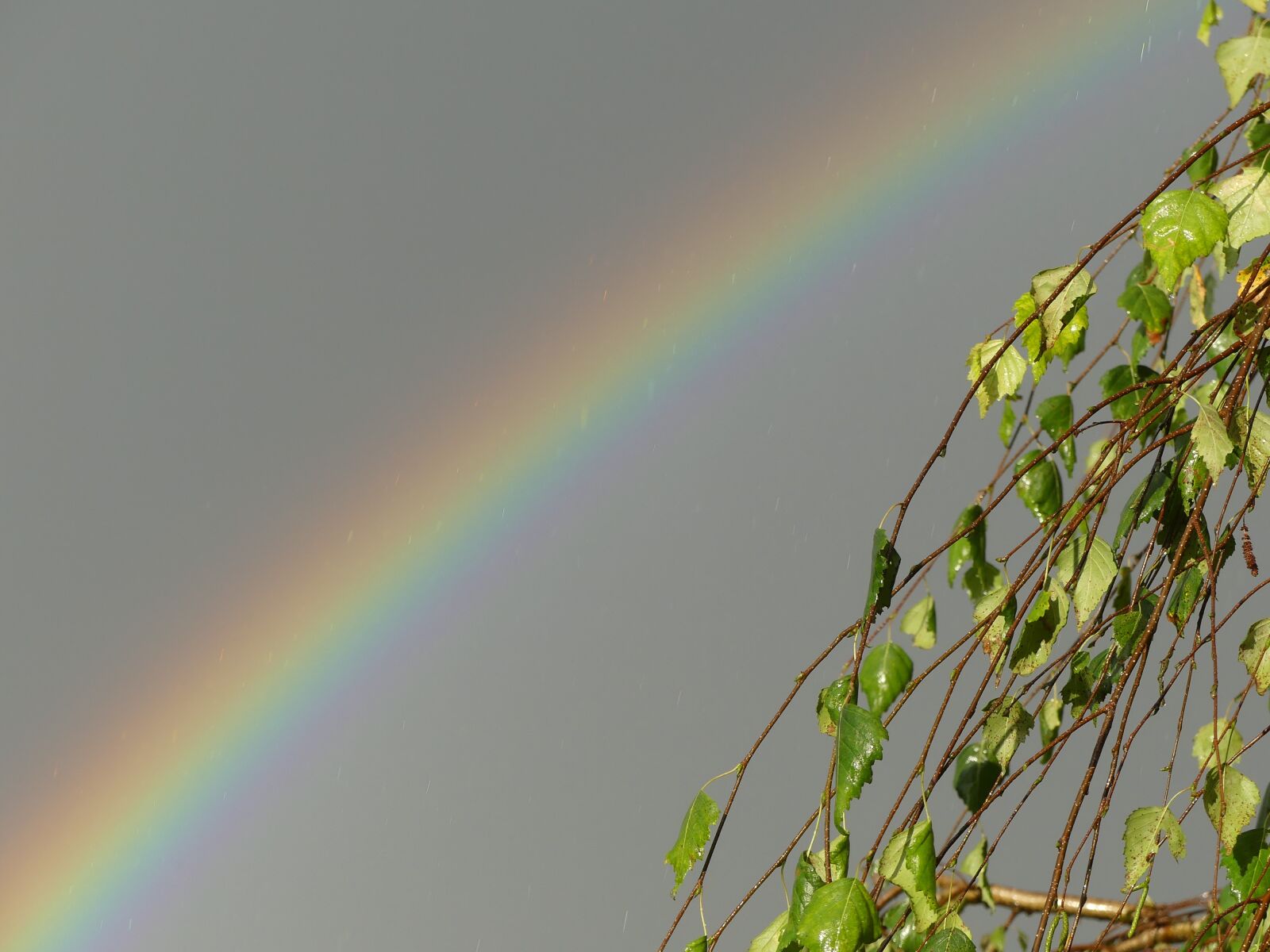 Panasonic Lumix DMC-FZ300 sample photo. Rainbow, sky, nature photography