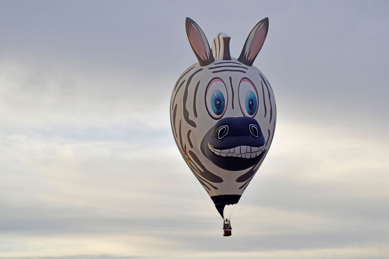 Nikon D850 sample photo. Balloon, animal, cartoon photography