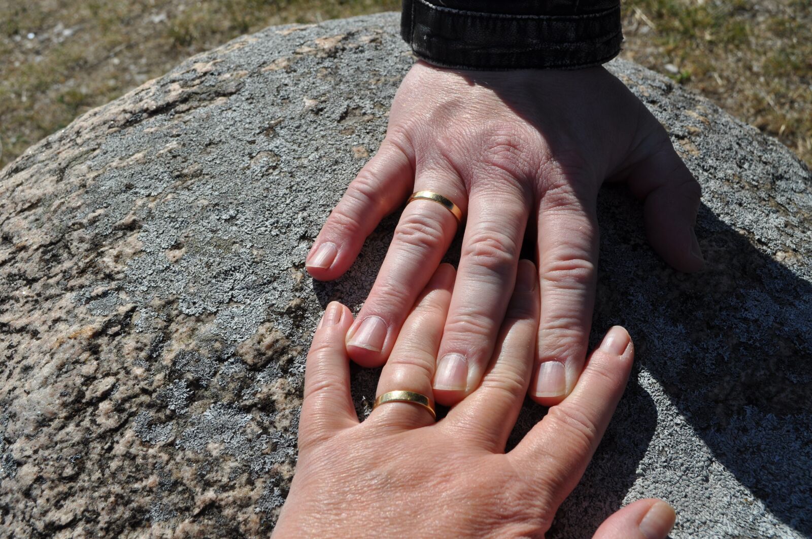Nikon D5000 sample photo. Hand, hands, love photography
