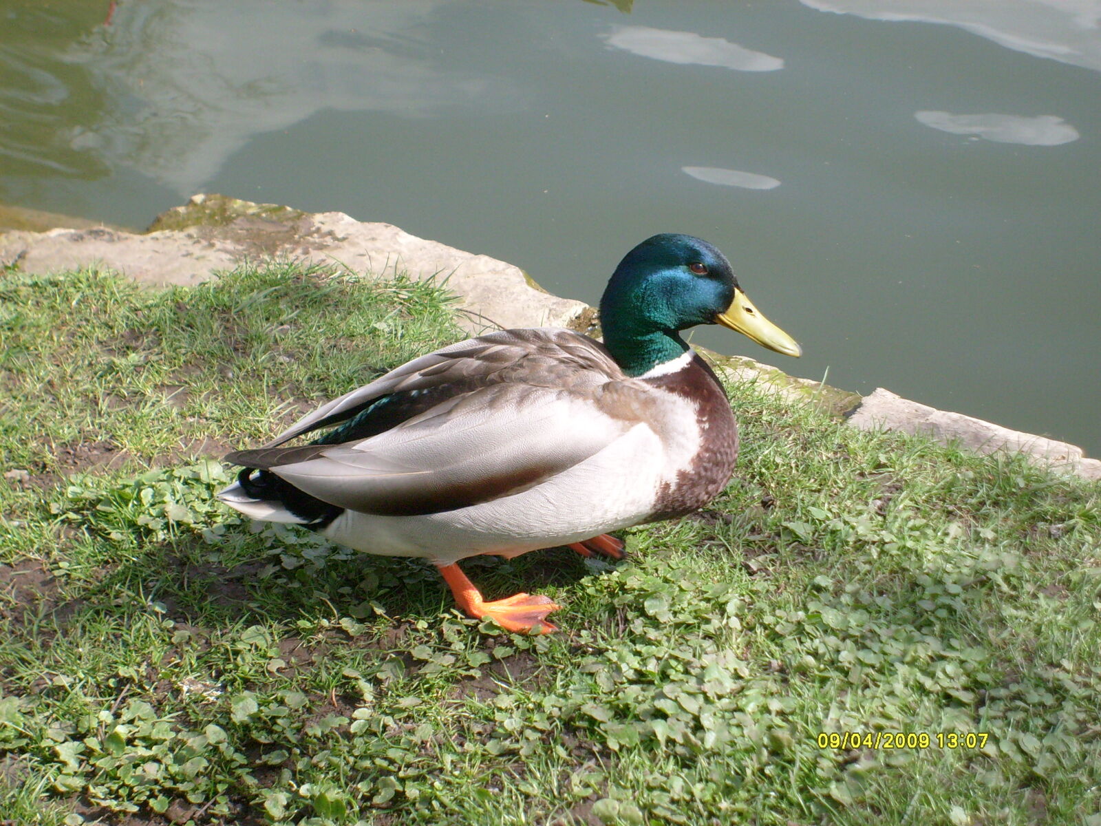 Samsung D70 / D75 / S730 / S750 sample photo