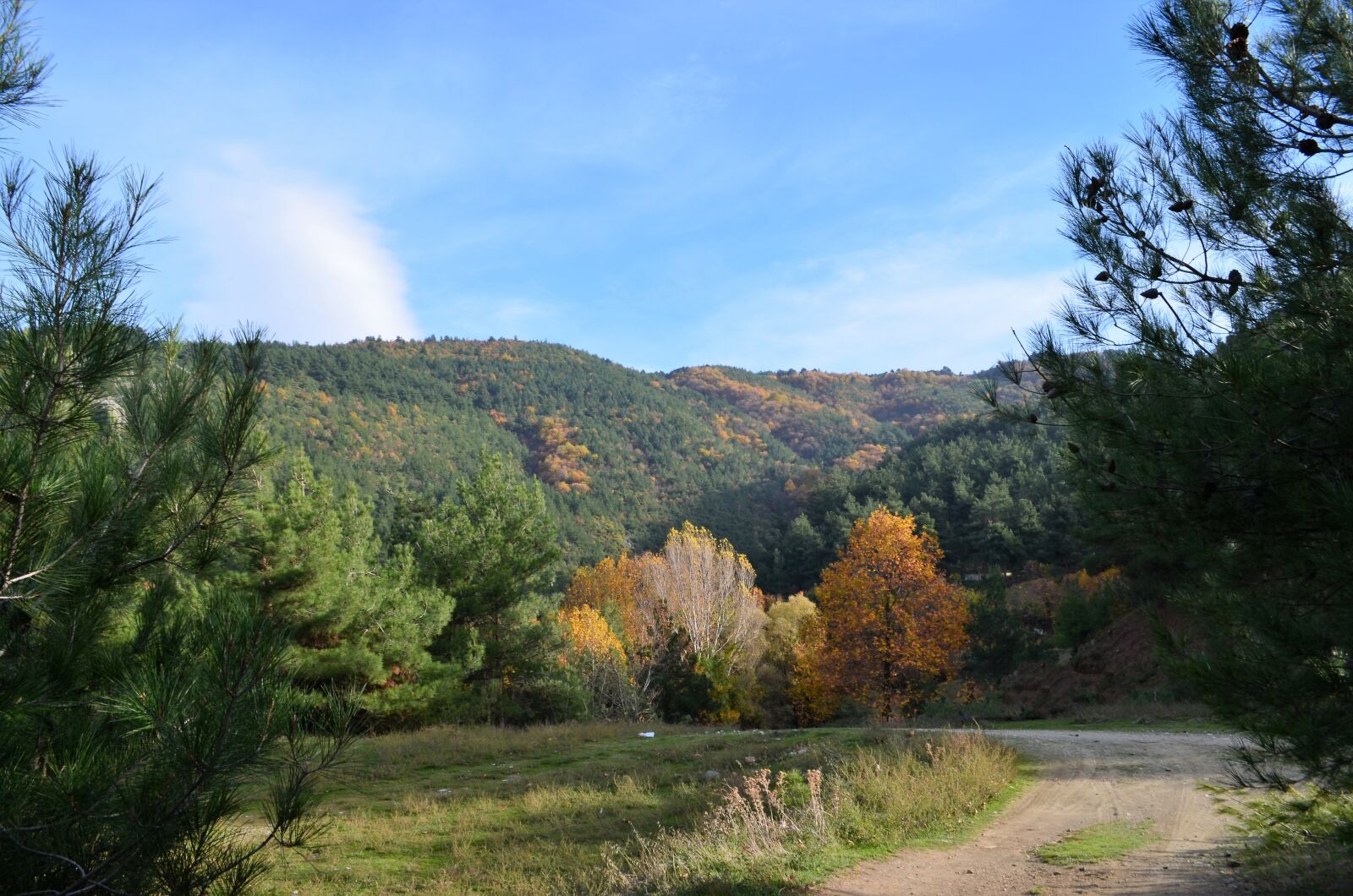 Nikon D5100 sample photo. Autumn, scholarship, doburca photography