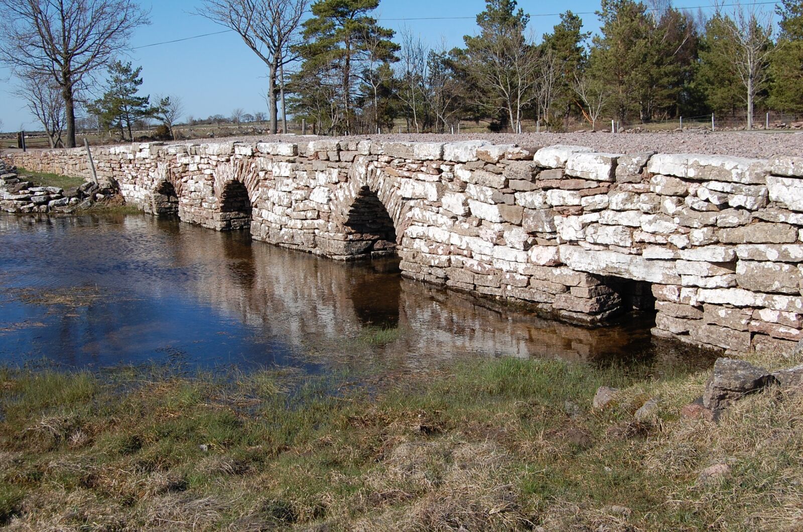 Nikon D40 sample photo. Bro, stone, nature photography