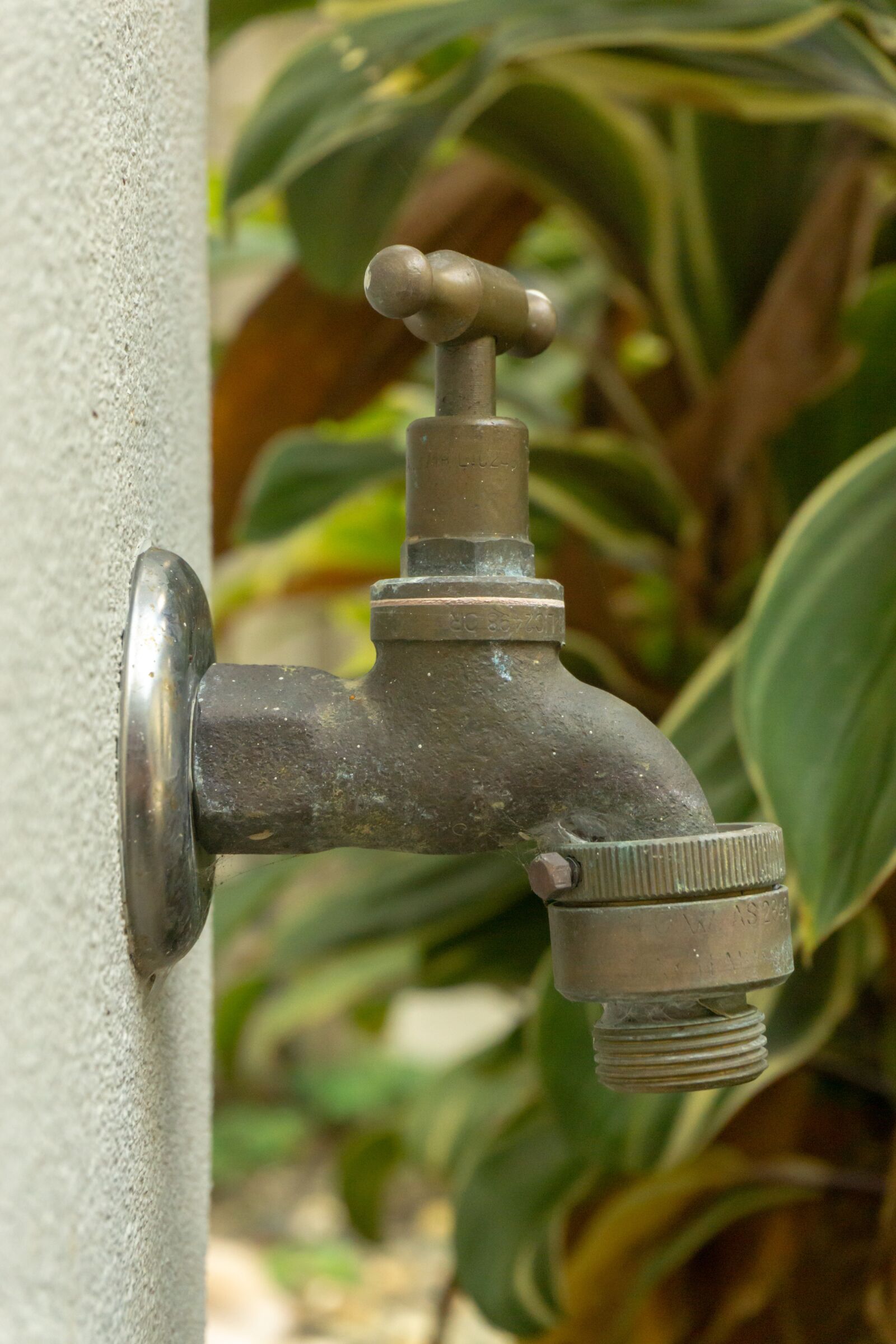Sony a6000 sample photo. Tap, garden, hose photography
