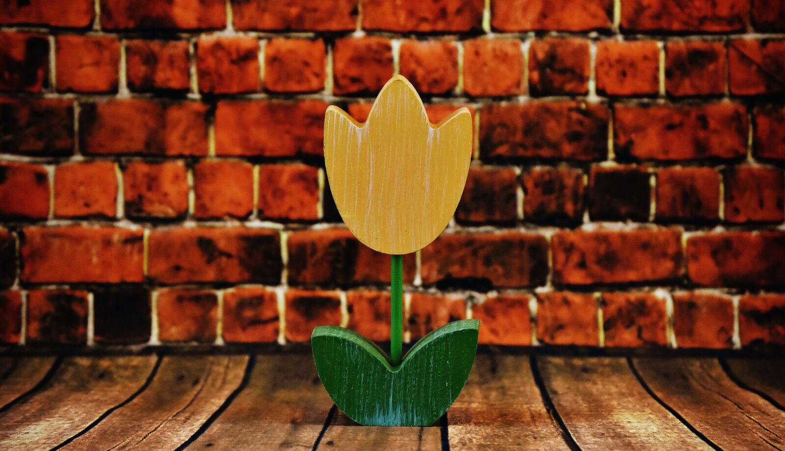 Nikon D7200 sample photo. Flower, tulip, wood photography