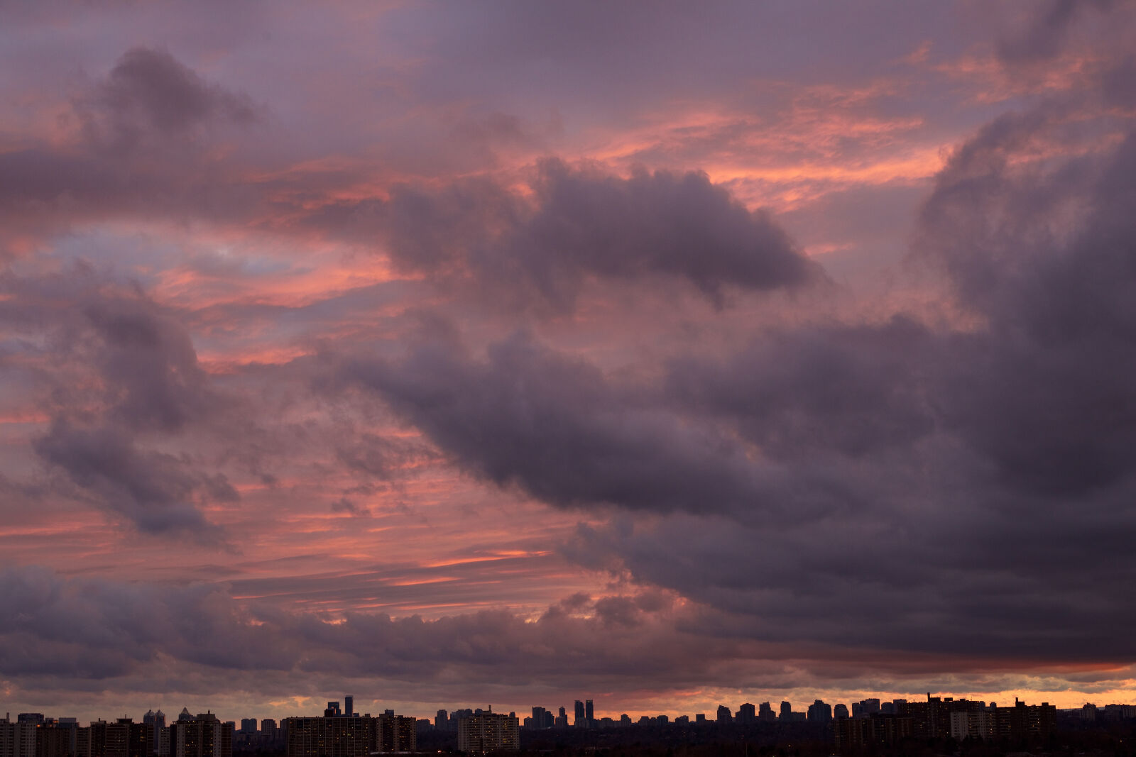 Canon EF 50mm F1.8 II sample photo