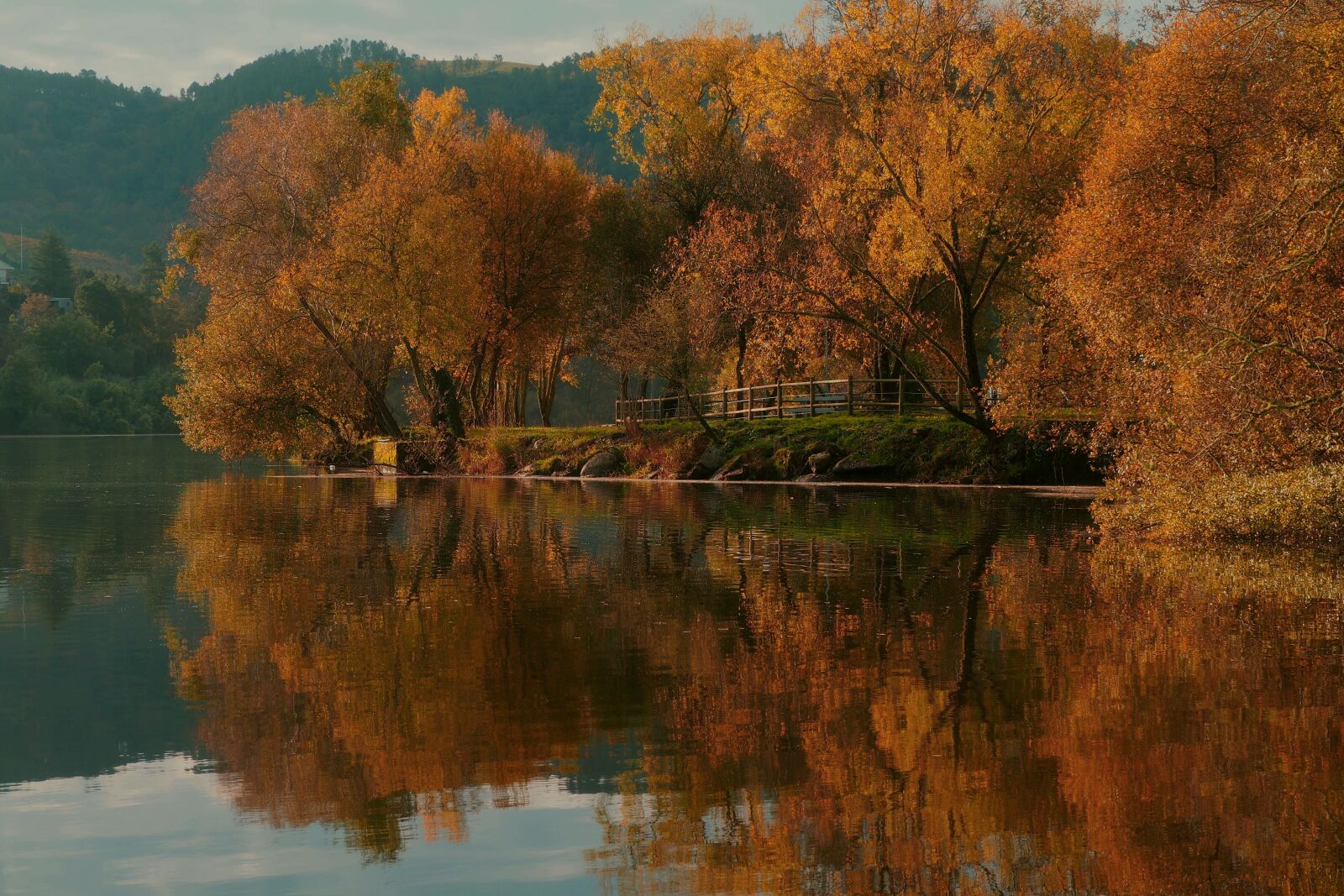 Olympus OM-D E-M10 II sample photo. Autumn, reflection, projection photography