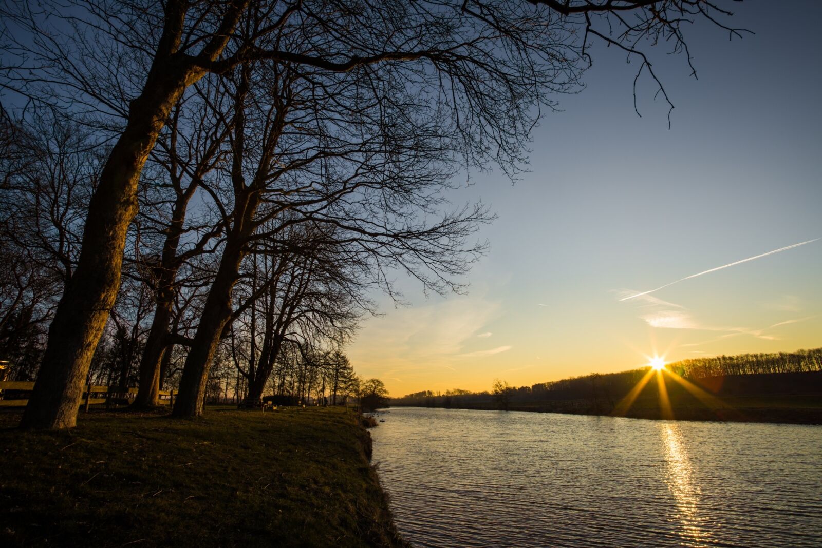 Nikon D600 sample photo. Tree, dawn, nature photography