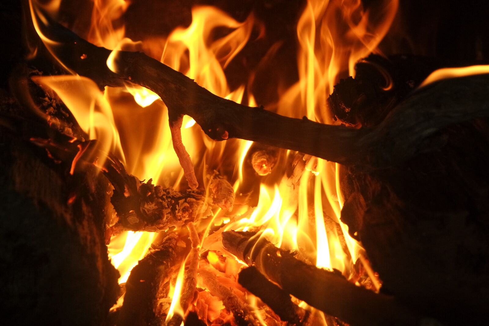 Samsung NX3000 sample photo. Campfire, fire photography
