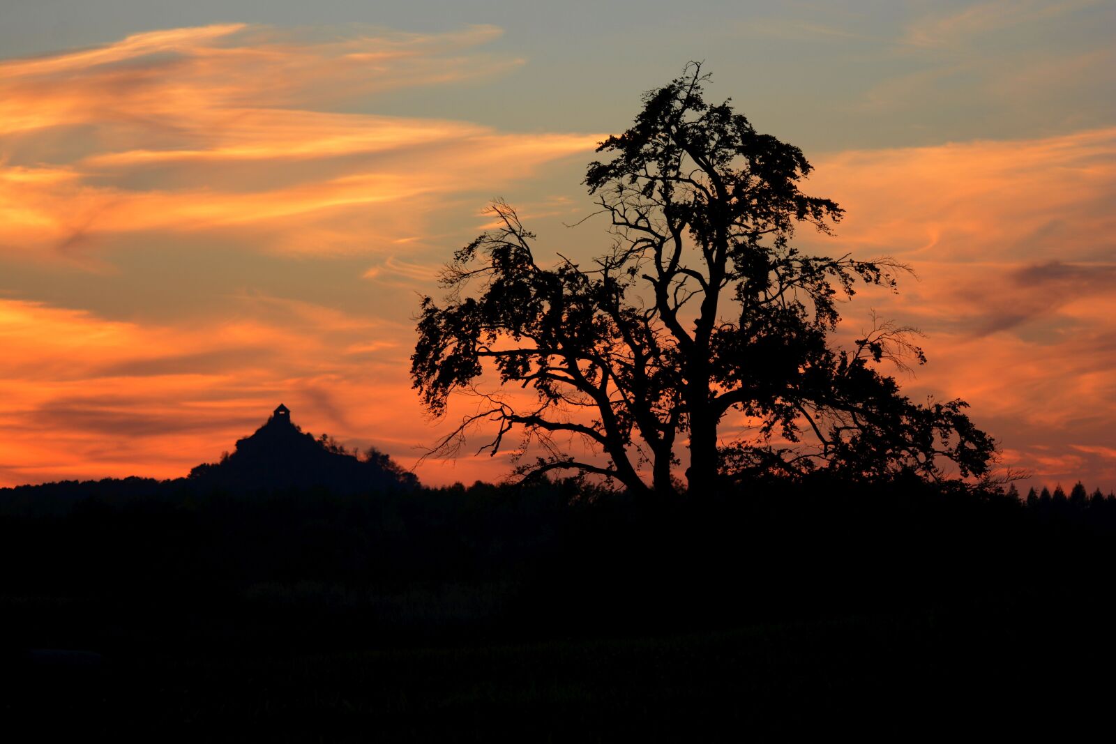 Nikon D7100 sample photo. Sunset, wood, castle photography