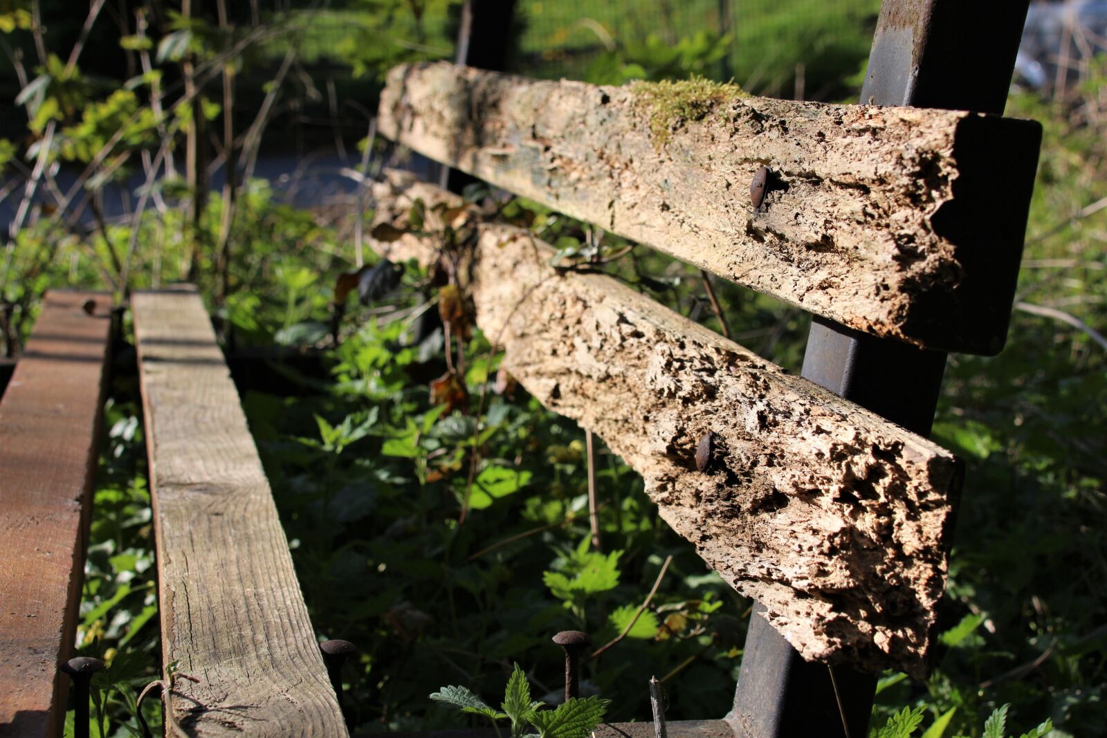 Canon EOS 700D (EOS Rebel T5i / EOS Kiss X7i) sample photo. Bank, old, bench photography