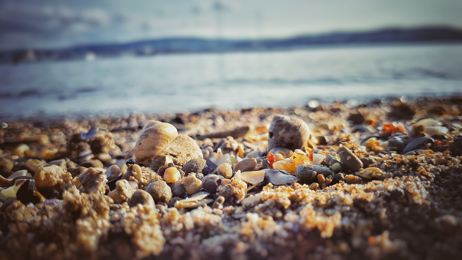 Samsung Galaxy A5(2017) sample photo. Beach, blur, close, up photography