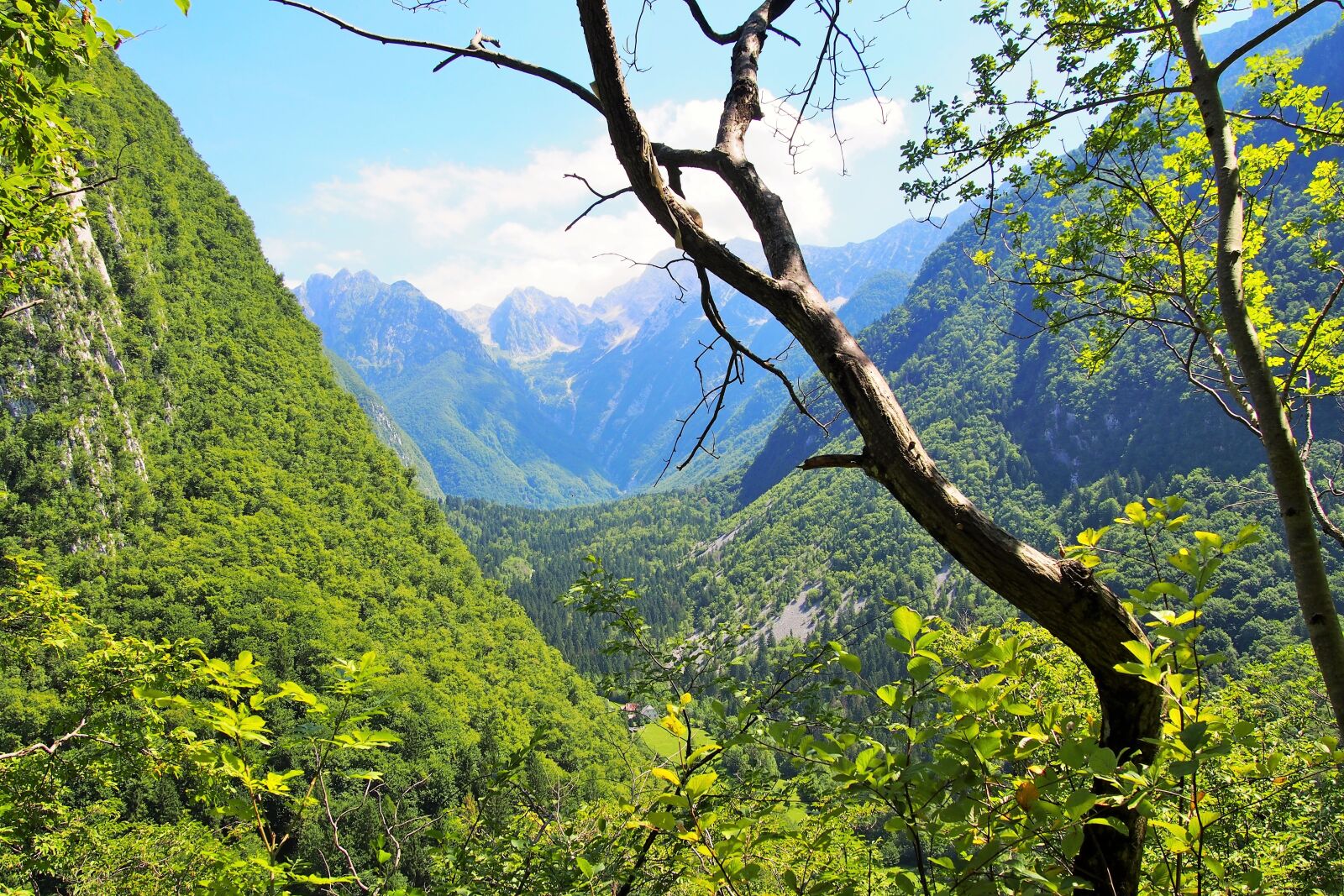 Olympus PEN E-PL6 sample photo. Nature, region, travel photography