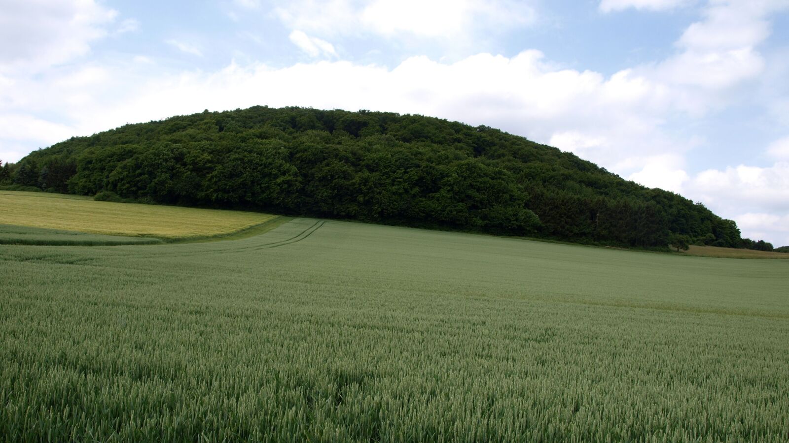 Olympus E-520 (EVOLT E-520) sample photo. Bausenberg, landscape, mountain photography