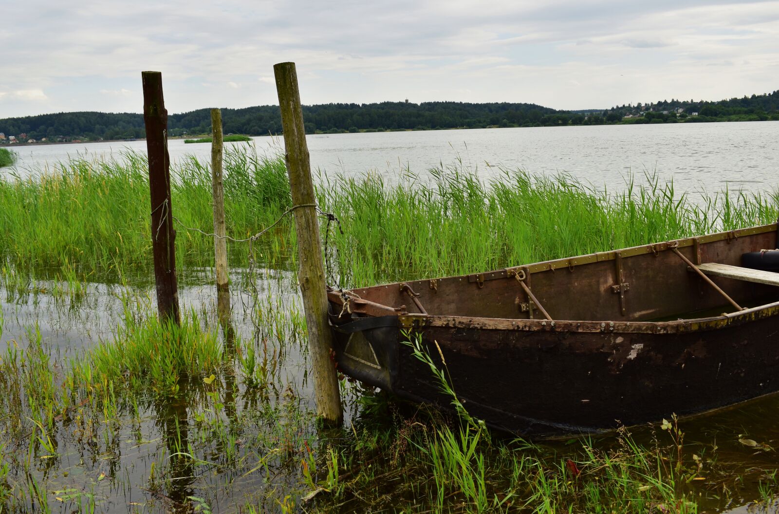 Nikon D3500 sample photo. лодка, водоем, природа photography