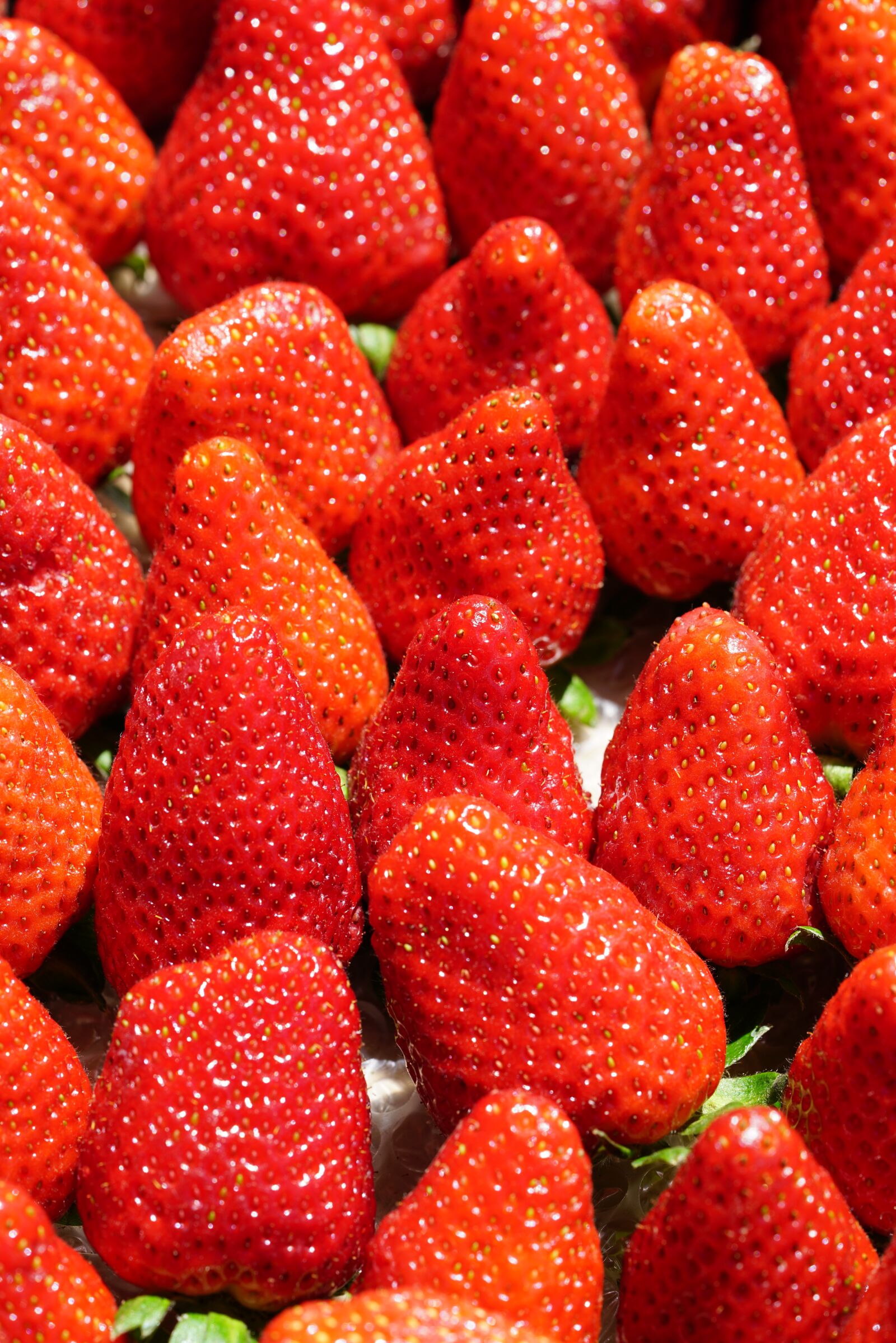 Sony a7R II + Sony FE 90mm F2.8 Macro G OSS sample photo. Strawberries, sweet, red photography