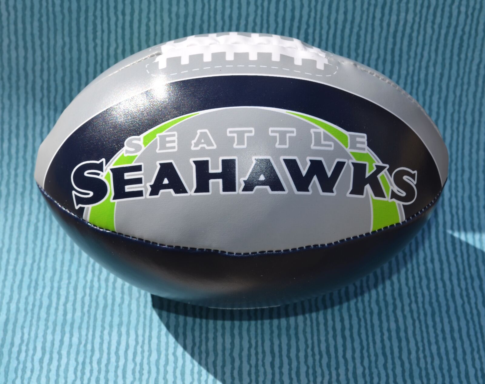 Nikon D5100 sample photo. Seattle, seahawks, seahawk photography