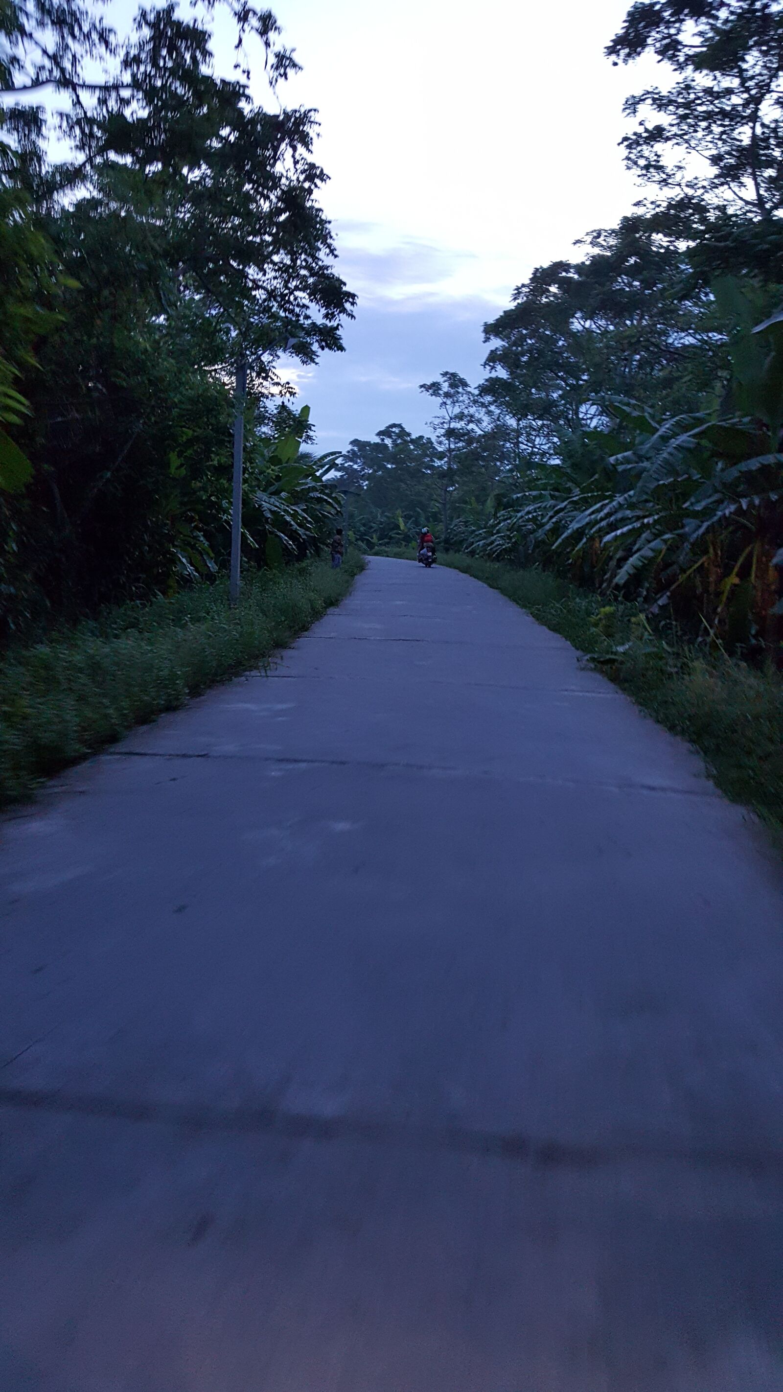 Samsung Galaxy Note5 sample photo