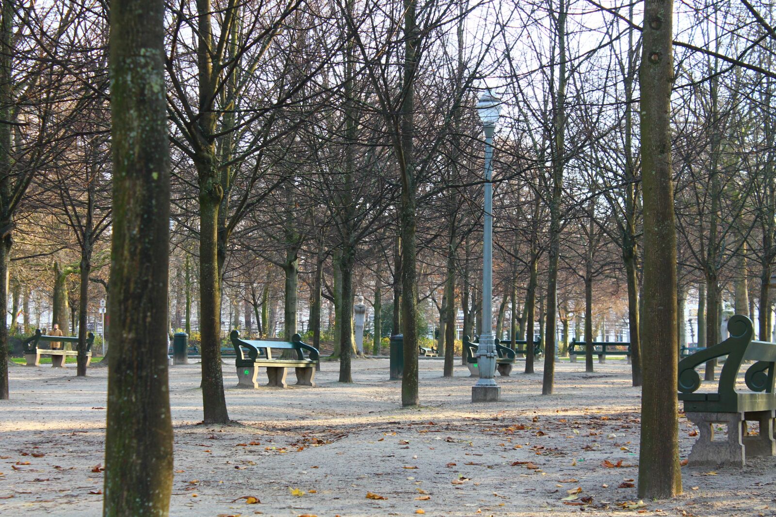 Canon EOS 1100D (EOS Rebel T3 / EOS Kiss X50) sample photo. Belgium, brussels, winter photography