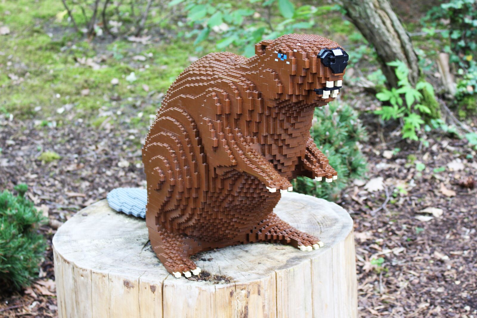 Canon EOS 100D (EOS Rebel SL1 / EOS Kiss X7) sample photo. Lego, legoland, build photography