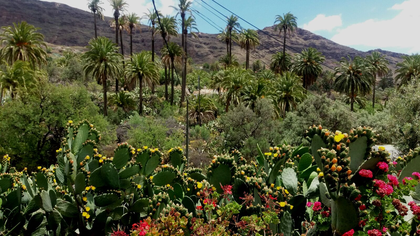 Samsung Galaxy J5 sample photo. Landscape photography