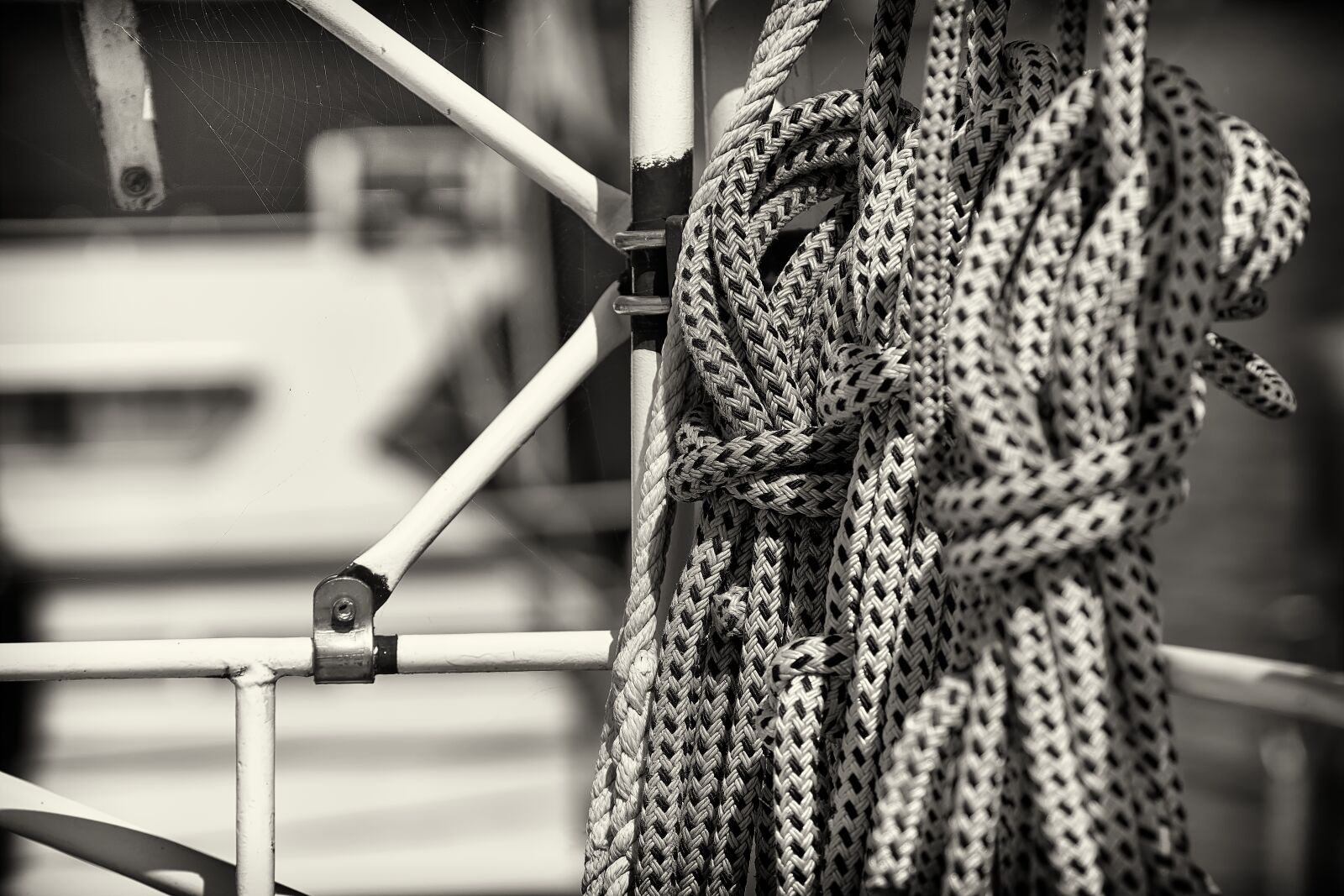 Sony a6000 sample photo. Rope, leash, knitting photography