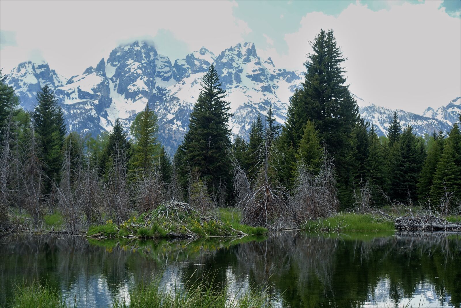 Sony Cyber-shot DSC-RX100 III sample photo. Beaver lodge, hiking, tetons photography