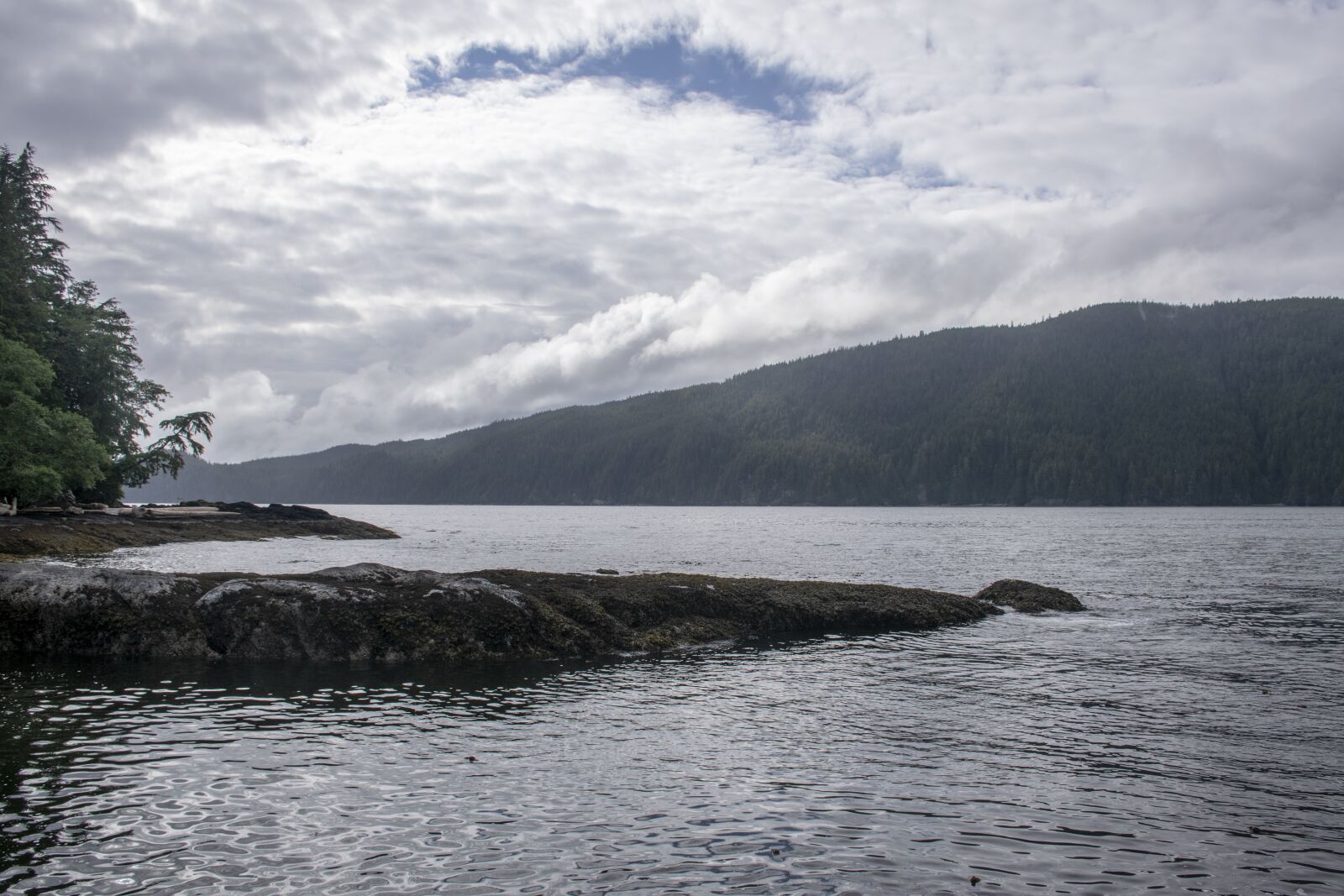 Nikon D5300 sample photo. Rocks, beach, water photography