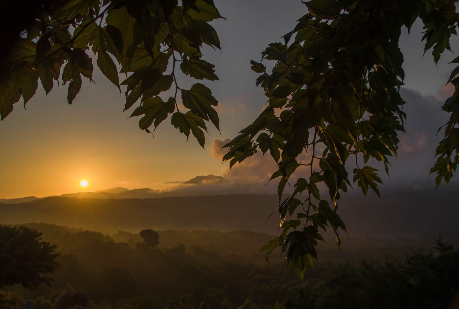 Pentax KP sample photo. Sunset, evening, twilight photography