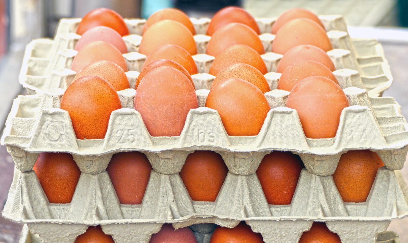 Panasonic Lumix DMC-FZ1000 sample photo. Egg, hen's egg, egg photography