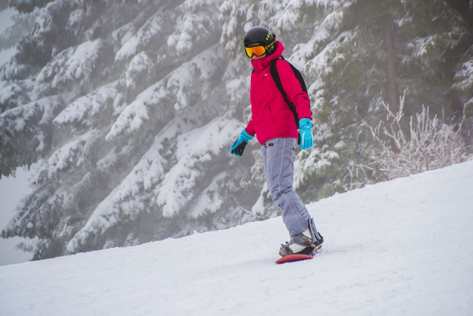 Nikon D3100 sample photo. Activity, cool, downhill photography