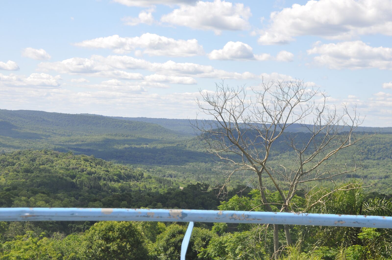 Nikon D90 sample photo. Misiones, argentina, alberdi photography