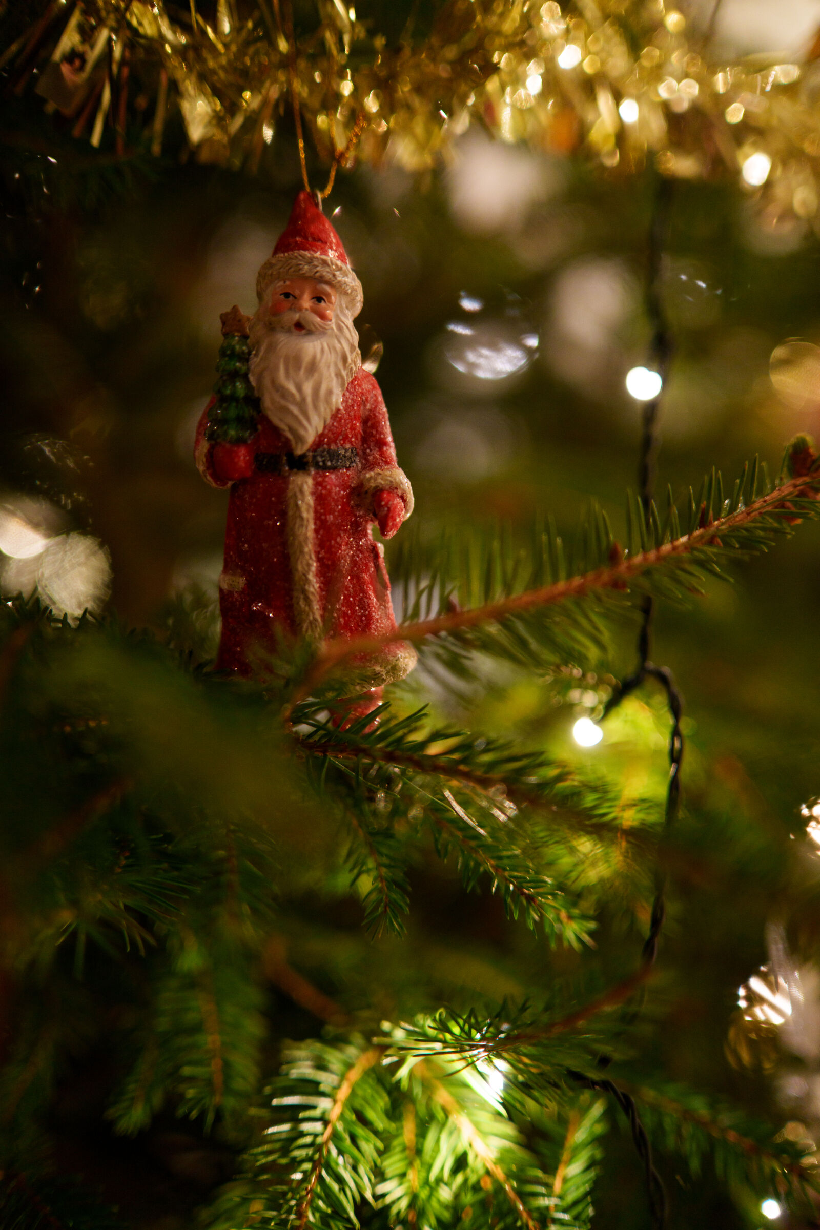 Samyang AF 35mm F1.4 P sample photo. Seasonal decoration photography