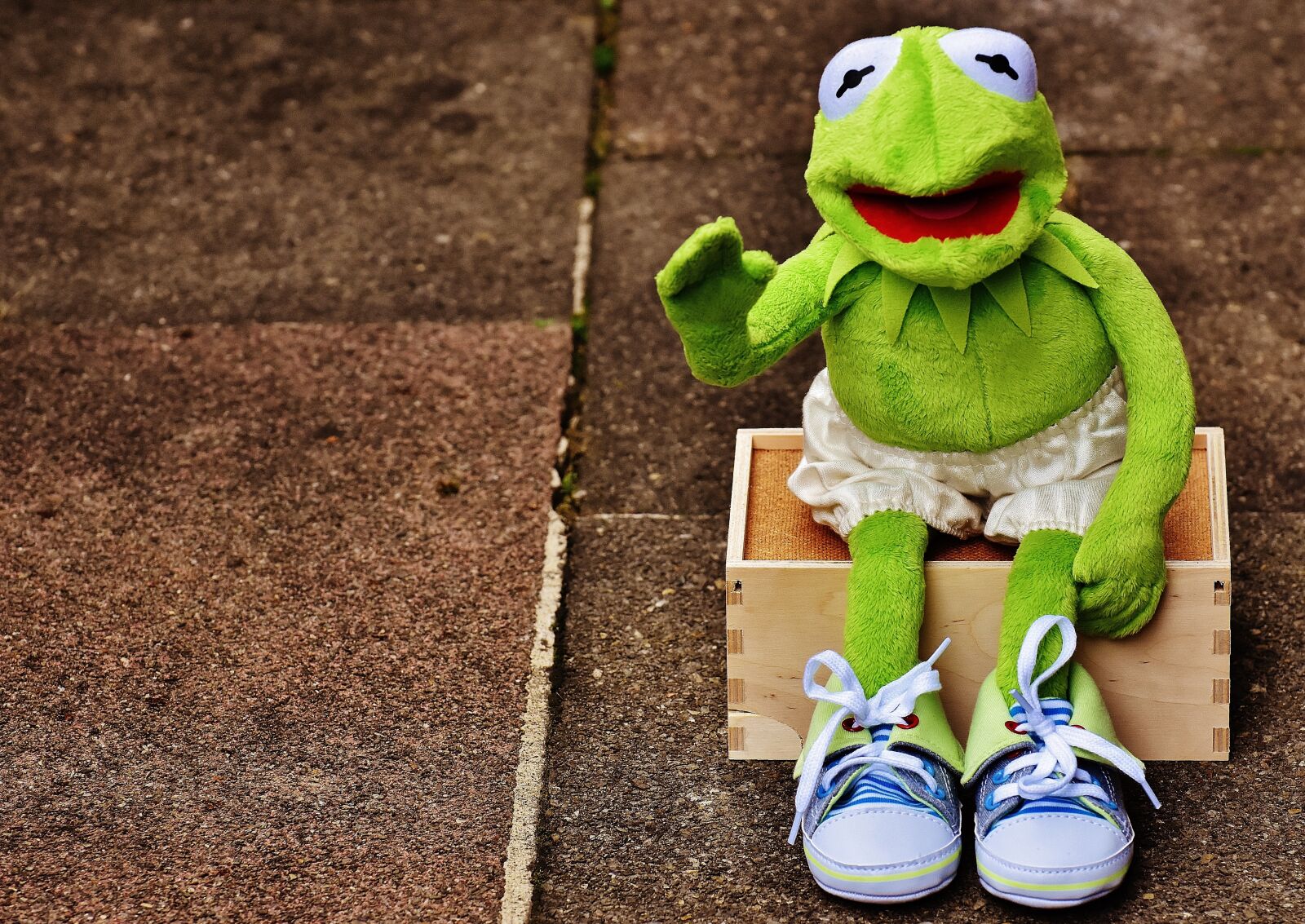 Nikon D7200 sample photo. Kermit, sit, bank photography